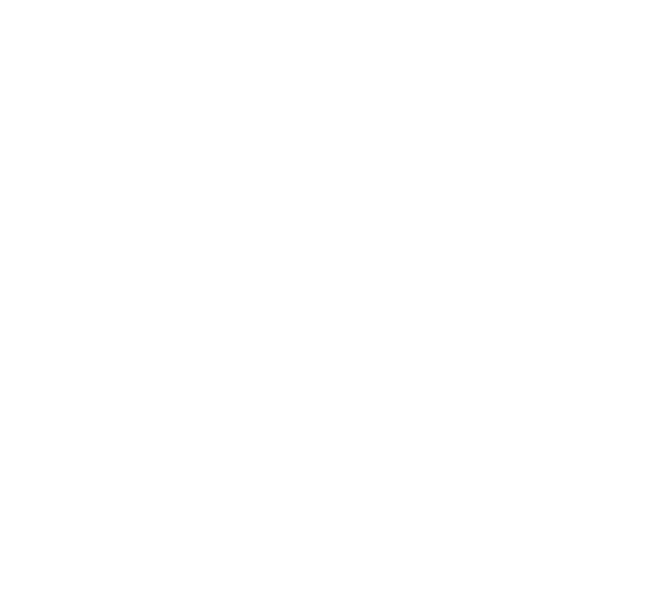 procoding logo